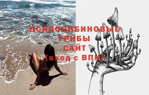 мяу мяу мука Абдулино