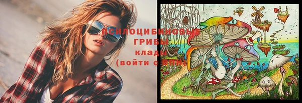 мяу мяу мука Абдулино