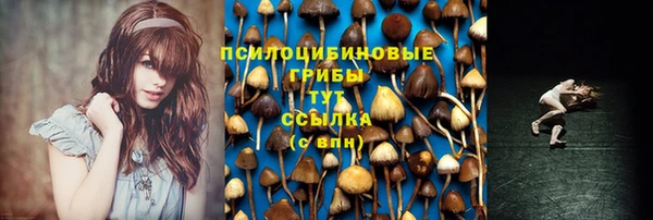 мяу мяу мука Абдулино