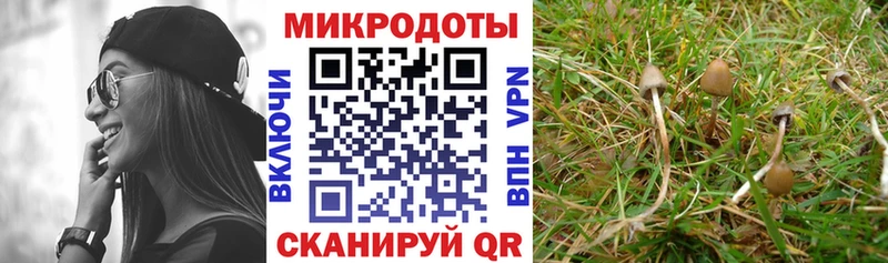 Галлюциногенные грибы GOLDEN TEACHER  Шумерля 