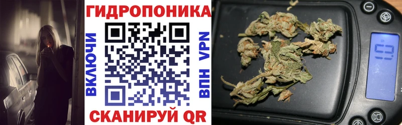 магазин продажи наркотиков  Шумерля  Шишки марихуана Bruce Banner 