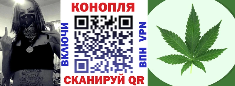 Конопля планчик Шумерля